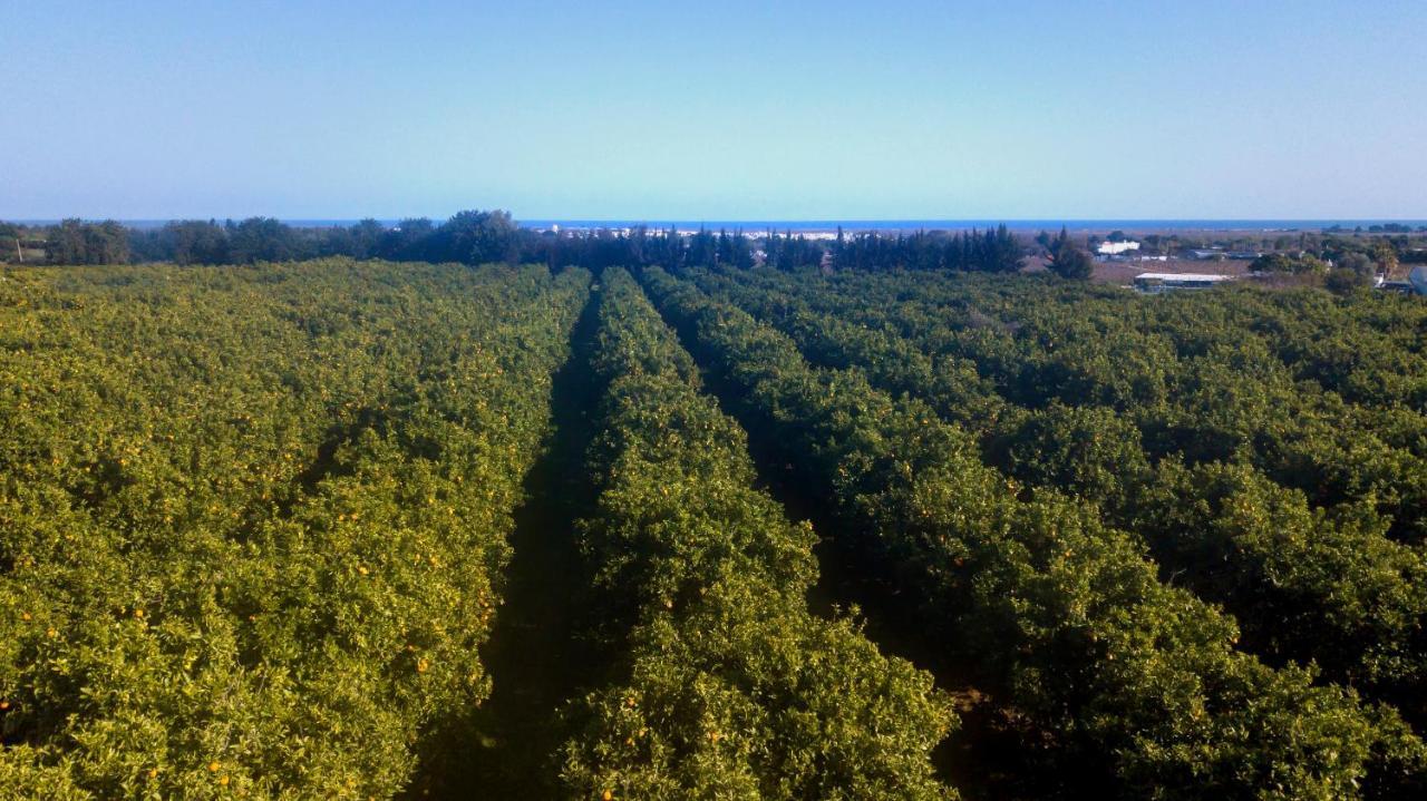 Quinta Da Pintassilga Villa Tavira Buitenkant foto